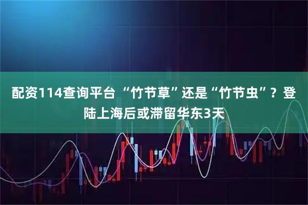 配资114查询平台 “竹节草”还是“竹节虫”？登陆上海后或滞留华东3天