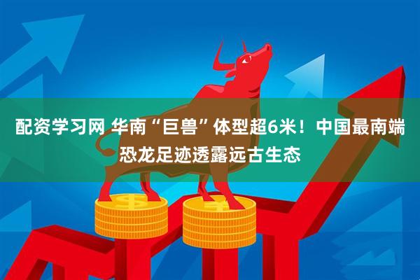 配资学习网 华南“巨兽”体型超6米！中国最南端恐龙足迹透露远古生态